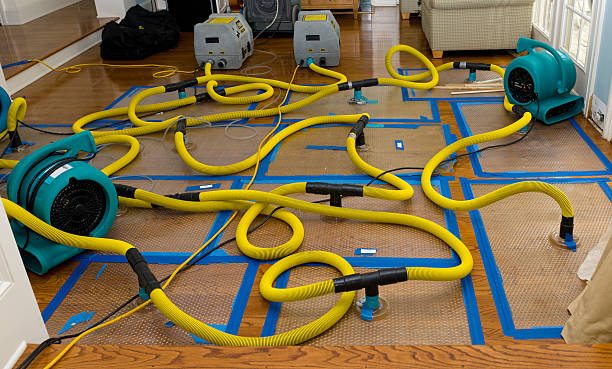 Professional Structural Drying And Dehumidification technician working in Sheldon, IL